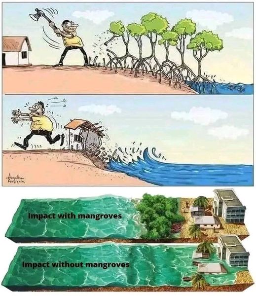 This meme is a play on the classic "man goes to war" joke, but with a environmental twist. The image shows a person running away from a house that's being destroyed by a massive wave, with a caption "In 2 days: me trying to learn to code" and "In 2 years: me trying to learn to code while also dealing with a hurricane and a zombie apocalypse". The text is meant to be humorous and relatable, poking fun at the challenges of learning to code and the unexpected obstacles that can arise.